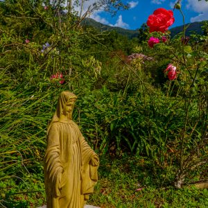 Passeio Pousada Mandala das Águas